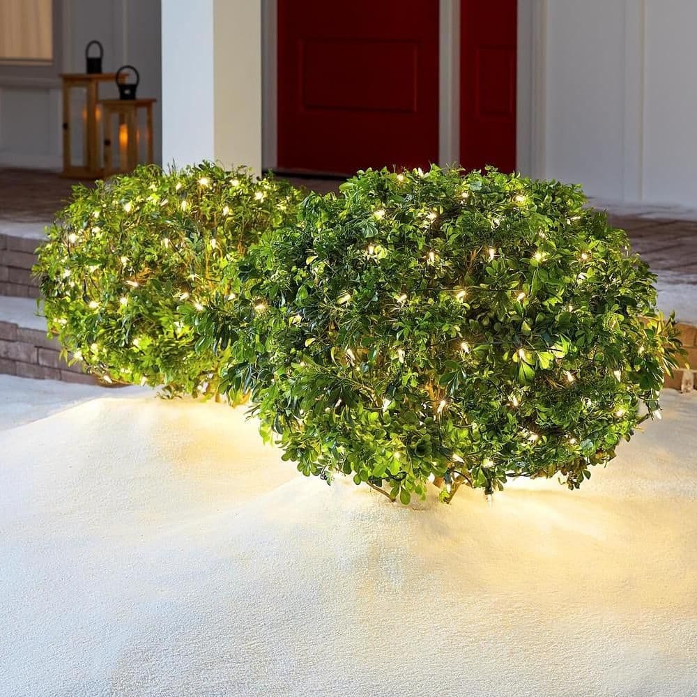 150 Count Warm White Steady Lit Mini LED Net Lights