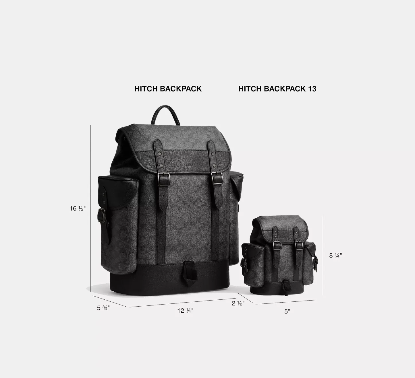 Hitch Backpack In Signature Canvas