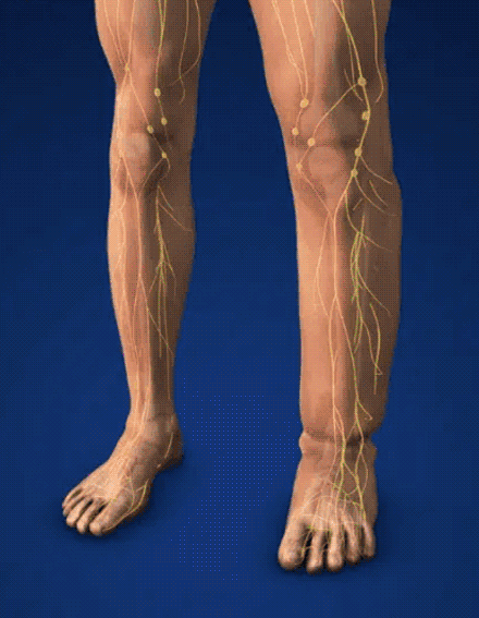 【Uvolnění celého těla】Přístroj pro hloubkovou terapii