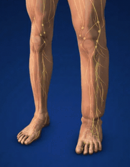 【Uvolnění celého těla】Přístroj pro hloubkovou terapii