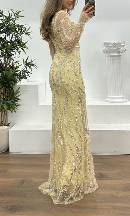 Asymmetrical Collar Embroidered Evening Dress