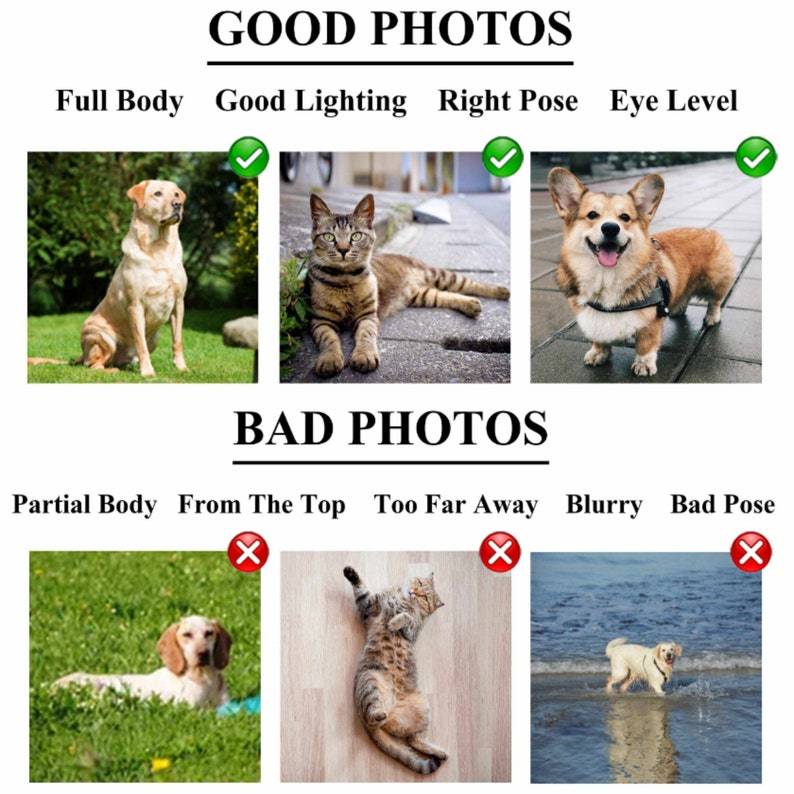 Custom Embroidered Pet Portrait Sweatshirt, Personalized Crewneck Embroidered Hoodie