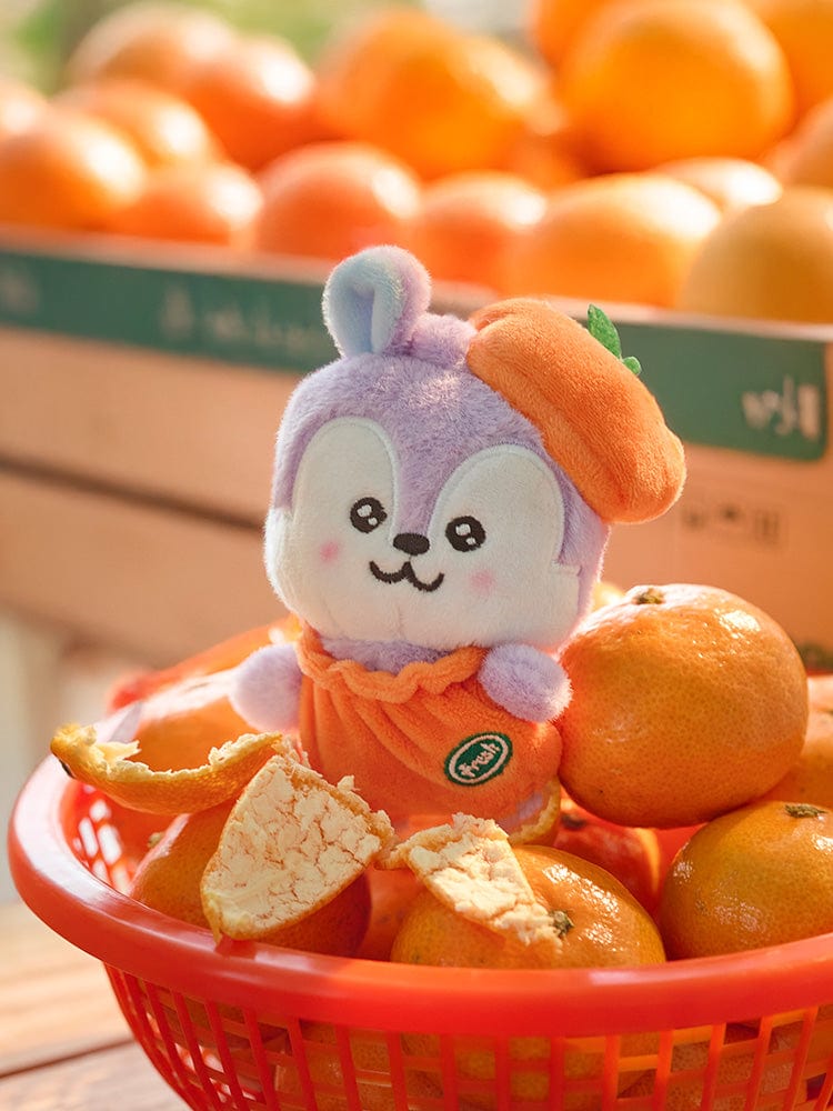 BT21 - ORANGE PARTY OFFICIAL MD BABY SMALL DOLL**-FinaKpop
