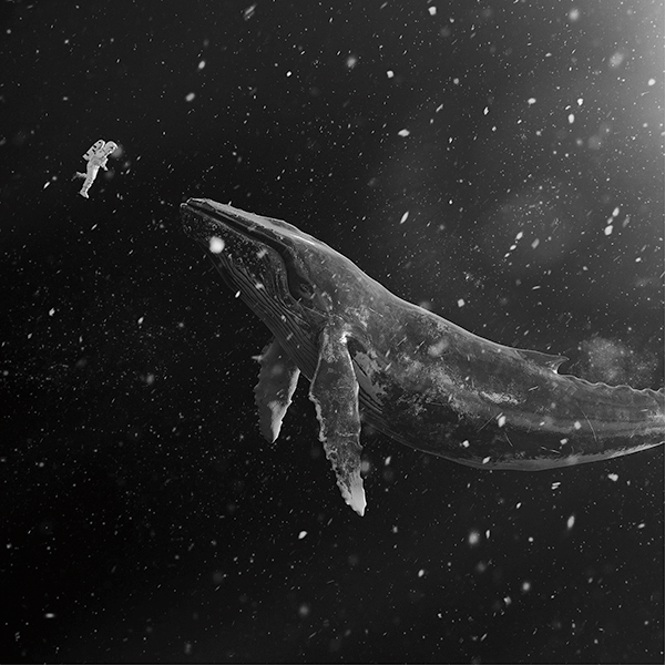 RE-RELEASE EXO - WINTER SPECIAL ALBUM SING FOR YOU - Korean/Chinese Ver-FinaKpop