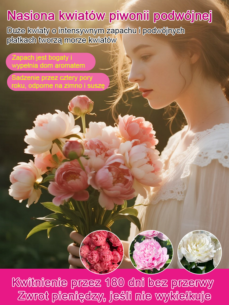 [Nasiona piwonii dwupłatkowej] Jedno nasiono, morze kwiatów