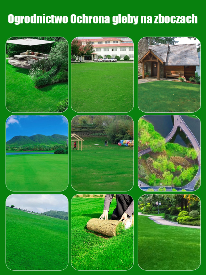 Wysokiej jakości nasiona: Kiełkowanie w 7 dni, zielone przez cały rok!