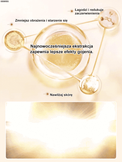 [Usuwanie zmarszczek] Dr. Yunmei Bozen serum przeciwzmarszczkowe