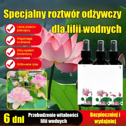 【Kiełkuje w 3 dni】Specjalny płyn odżywczy do lotosów w misce