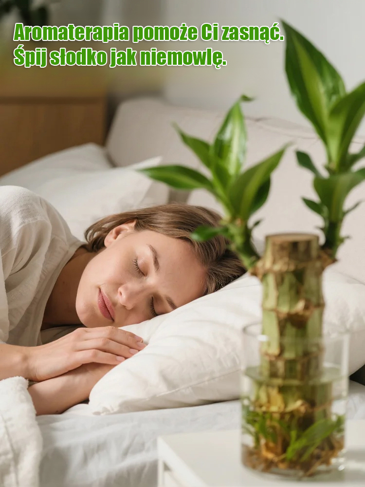 【Gwiazda Likwidacji Formaldehydu】Wodne Drzewko Szczęścia