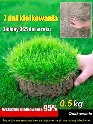 Wysokiej jakości nasiona: Kiełkowanie w 7 dni, zielone przez cały rok!