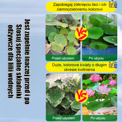 【Kiełkuje w 3 dni】Specjalny płyn odżywczy do lotosów w misce