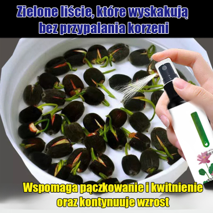 【Kiełkuje w 3 dni】Specjalny płyn odżywczy do lotosów w misce