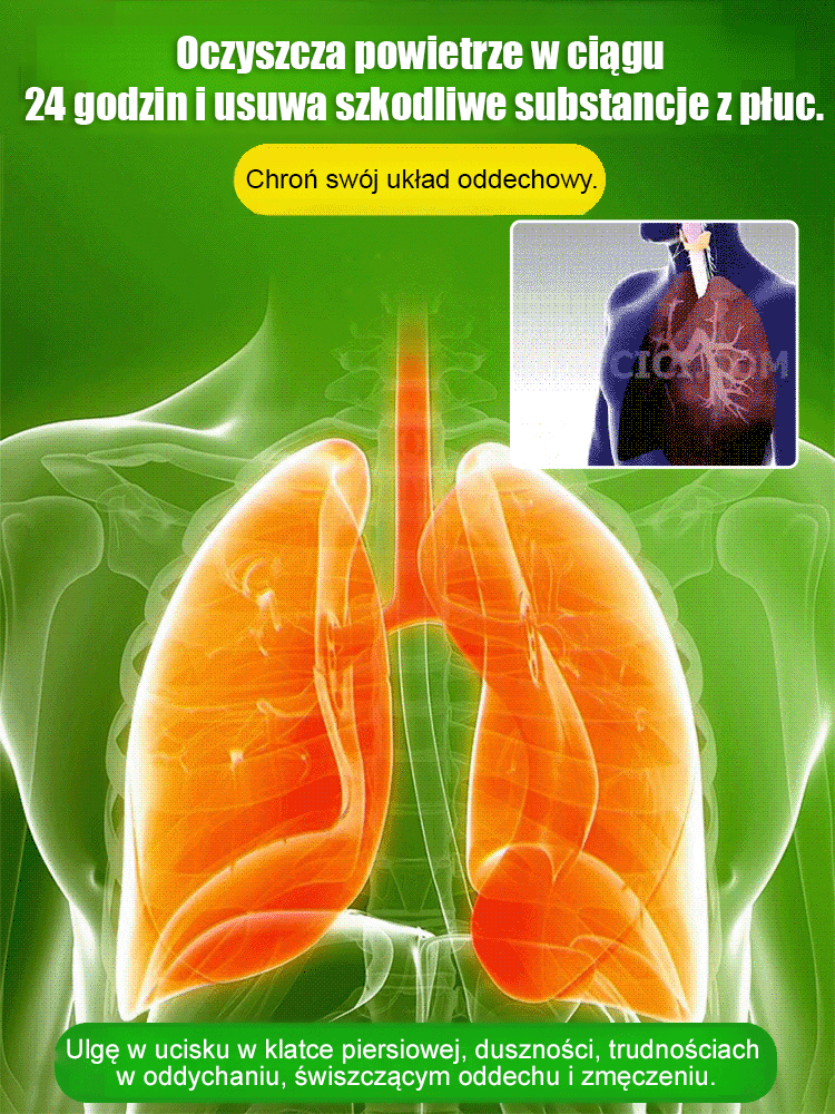 【Gwiazda Likwidacji Formaldehydu】Wodne Drzewko Szczęścia