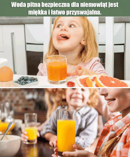 Automatyczny elektryczny sokownik domowy - więcej świeżego soku w mgnieniu oka!