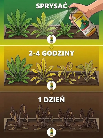 środek do zwalczania chwastów i gnicia korzeni