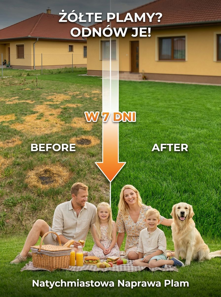 【Kiełkowalność 99%】Całoroczne mrozoodporne nasiona trawy na trawnik.Nawet początkujący mogą z łatwością założyć trawnik