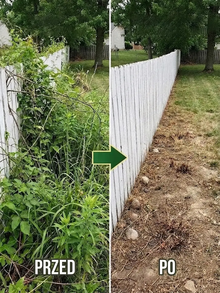 środek do zwalczania chwastów i gnicia korzeni