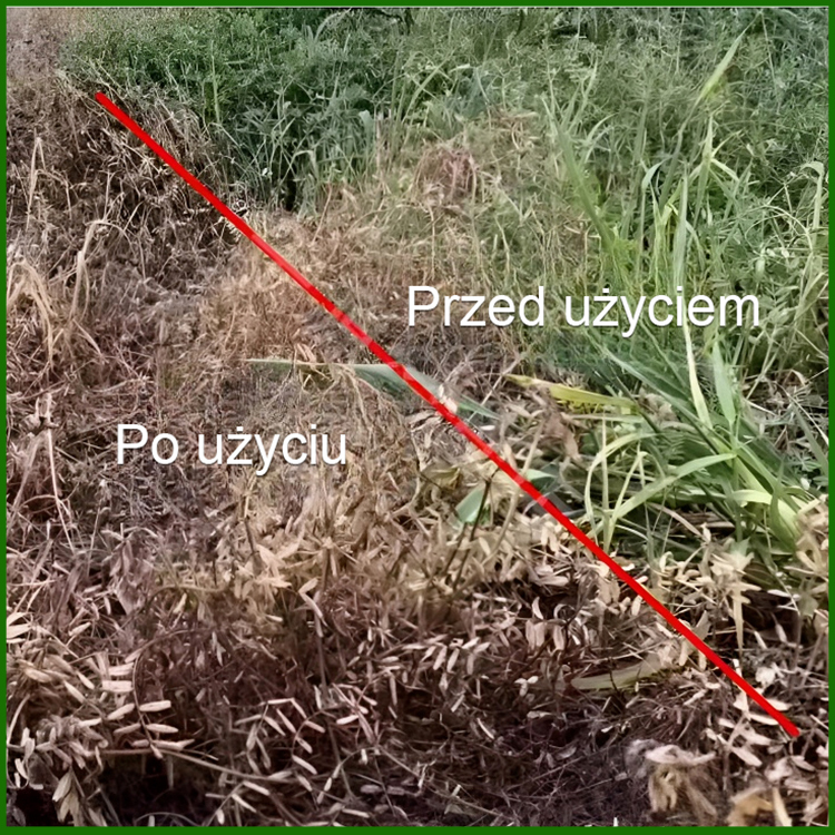 Wysoce skuteczne herbicydy i roztwory składników odżywczych do gleby