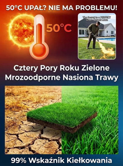 【Kiełkowalność 99%】Całoroczne mrozoodporne nasiona trawy na trawnik.Nawet początkujący mogą z łatwością założyć trawnik