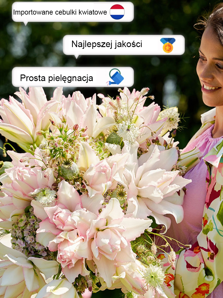 Cebulki lilii Four Seasons