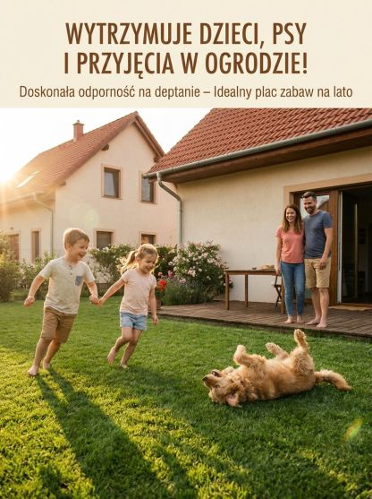 【Kiełkowalność 99%】Całoroczne mrozoodporne nasiona trawy na trawnik.Nawet początkujący mogą z łatwością założyć trawnik