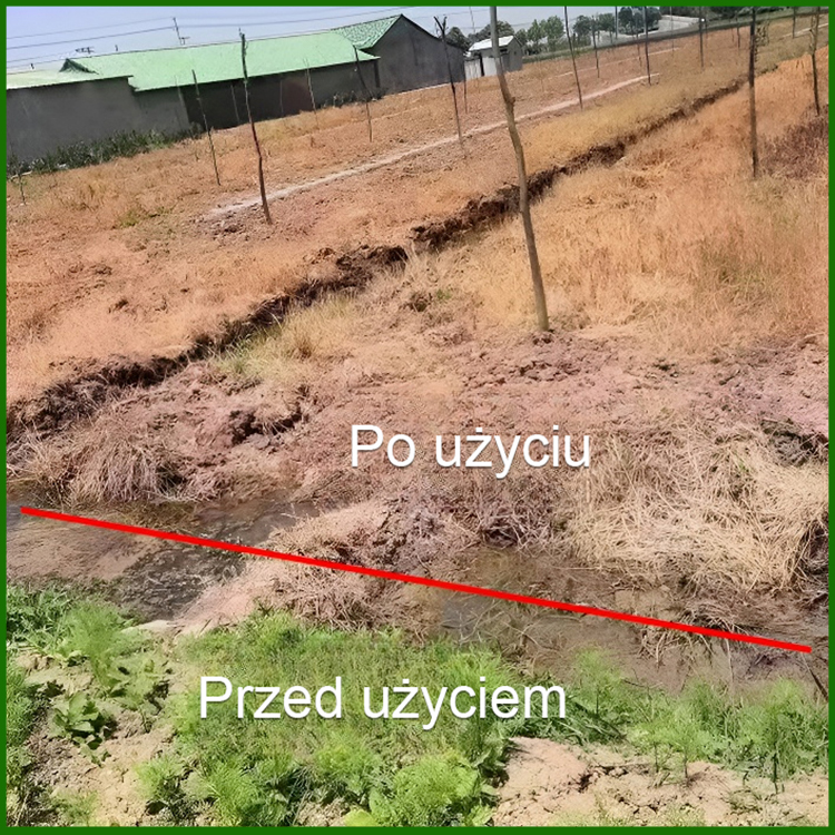 Wysoce skuteczne herbicydy i roztwory składników odżywczych do gleby
