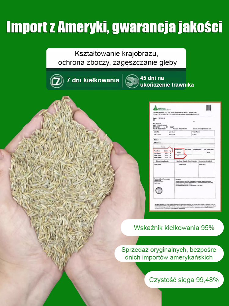 ✅ Kiełkowanie w 7 dni | Zielony dywan po 30 dniach | Odporny na mróz i wysoką temperaturę, zielony przez cały rok
