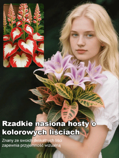 Nasiona rzadkiego hosta z kolorowymi liśćmi