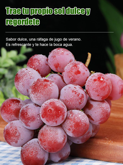 【Con aroma a vino】Semillas de uva Reina Nina