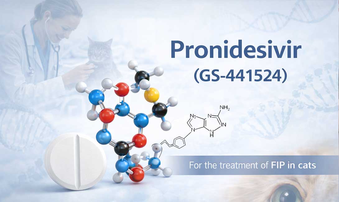 NeoFipronis product and cat