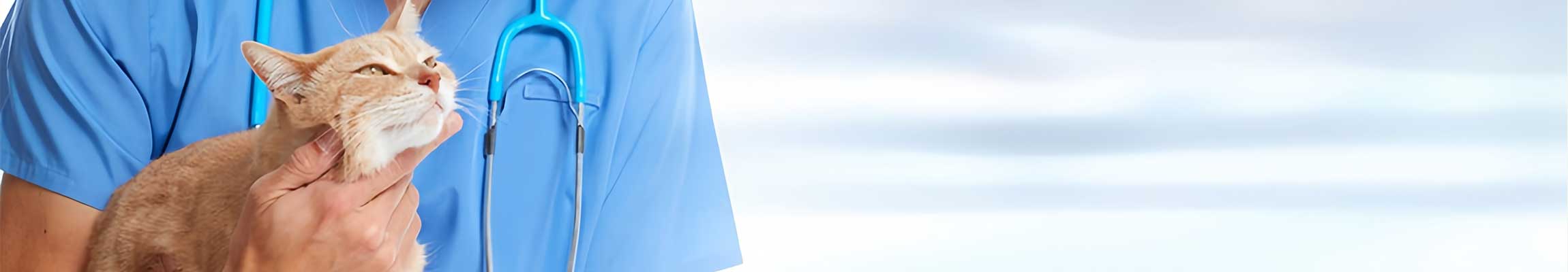 Tablet and dosing illustration