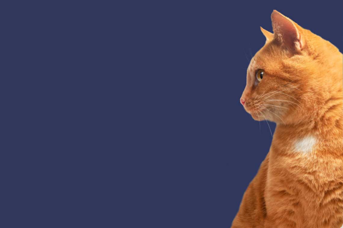 Batch testing and quality control