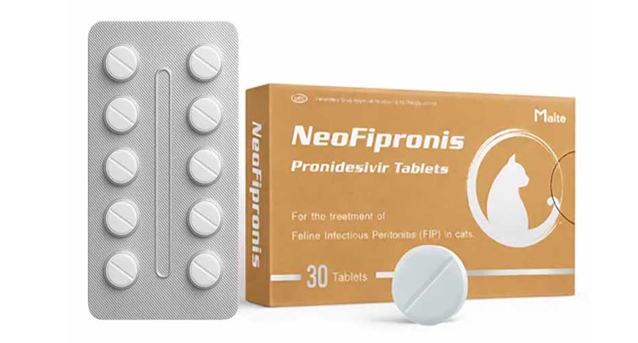 NeoFipronis unboxing: blister packaging and tablets