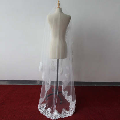 Beautiful Lace Applique Tulle Edge Wedding Veils