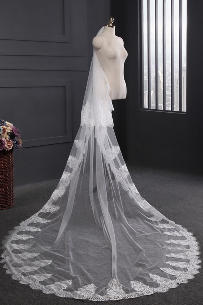 Cathedral Tulle Scalloped Edge 3*1.5M Wedding Veils with Appliques
