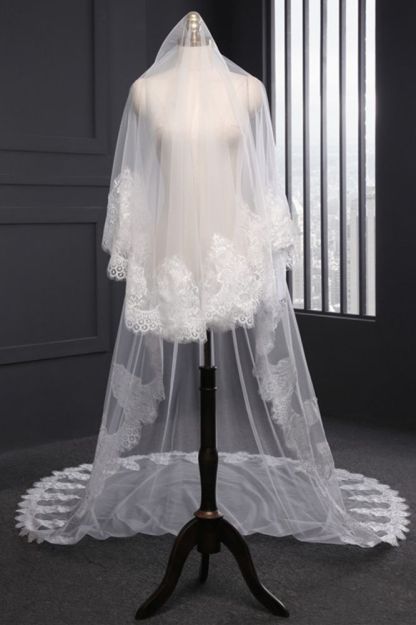 Cathedral Tulle Scalloped Edge 3*1.5M Wedding Veils with Appliques