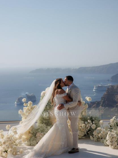 Chic White Mermaid Sweetheart Off-The-Shoulder Sleeveless Sweep Train Tulle Wedding Dress With Appliques