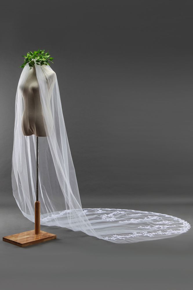 Elegant Cathedral Tulle Scalloped Edge 3*1.8M Wedding Veils with Appliques