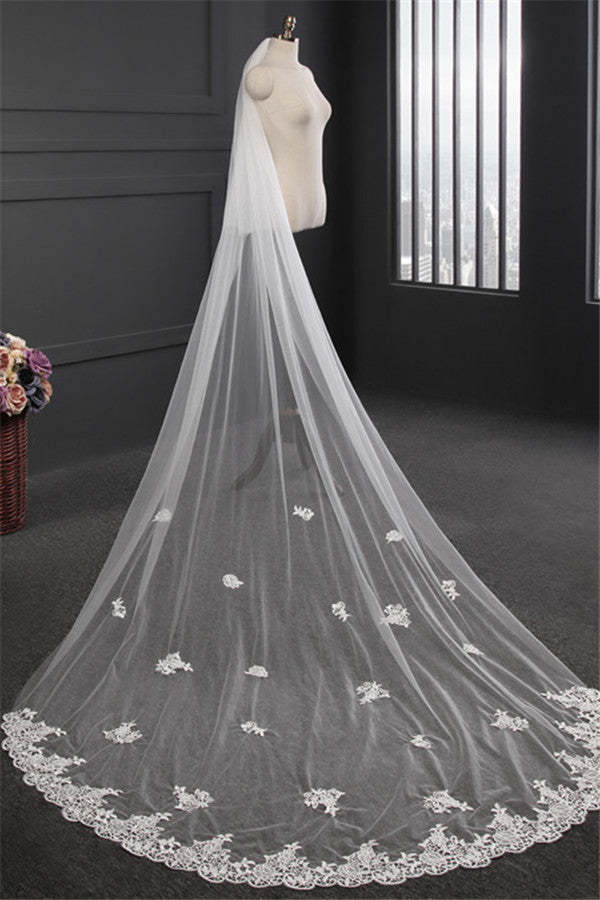 Elegant Lace Applique Edge Wedding Veils with Appliques