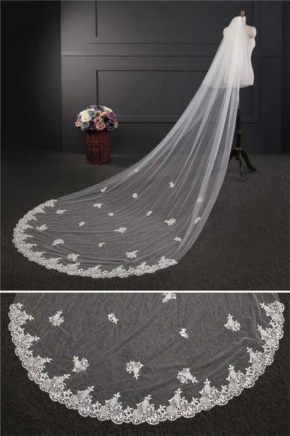 Elegant Lace Applique Edge Wedding Veils with Appliques