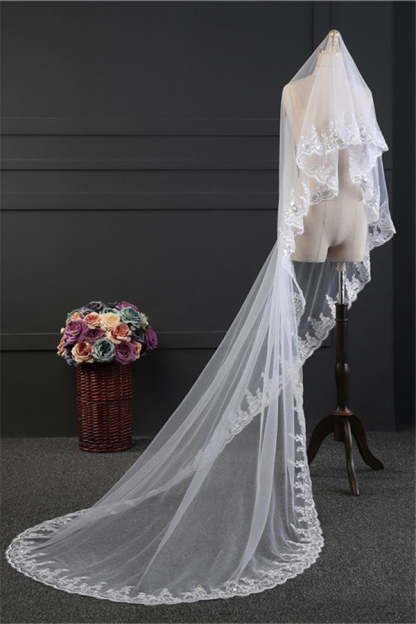 Elegant Tulle Lace Scalloped Edge 3*1.5M Wedding Veils with Appliques