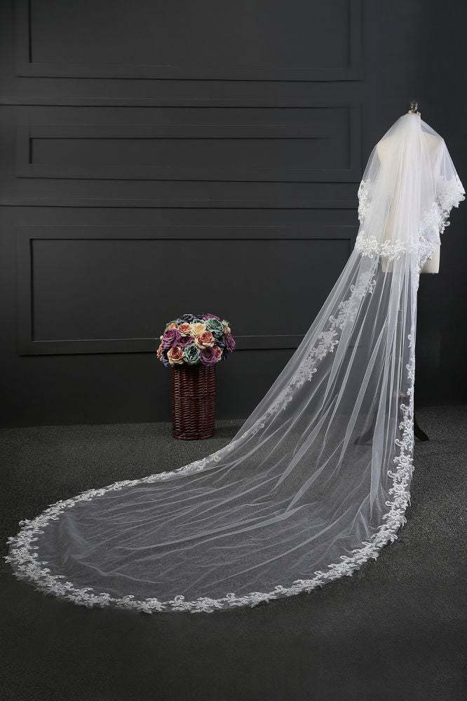 Elegant Tulle lace Applique Edge 3*1.5M Wedding Veils
