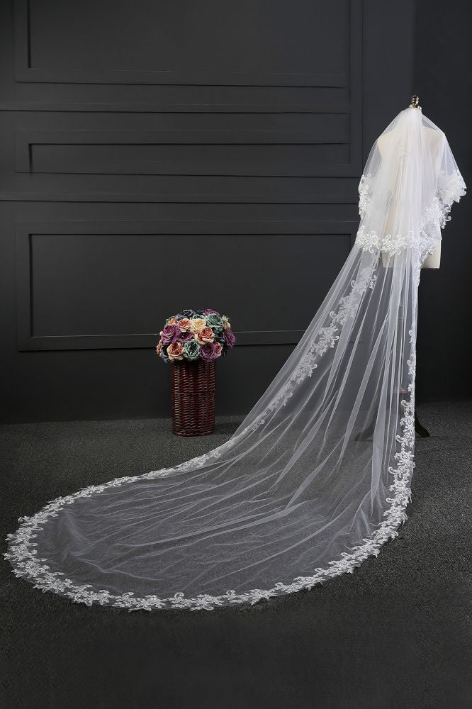 Elegant Tulle lace Applique Edge 3*1.5M Wedding Veils
