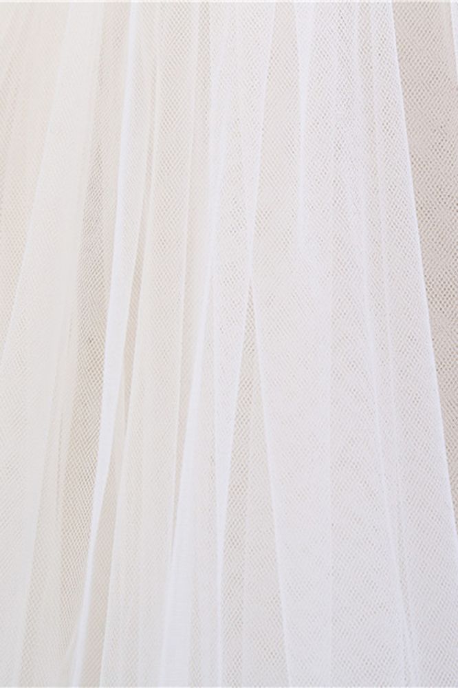 Elegant Tulle lace Applique Edge 3*1.5M Wedding Veils