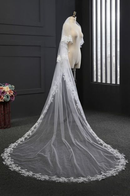 Elegant Tulle lace Applique Edge 3*1.5M Wedding Veils