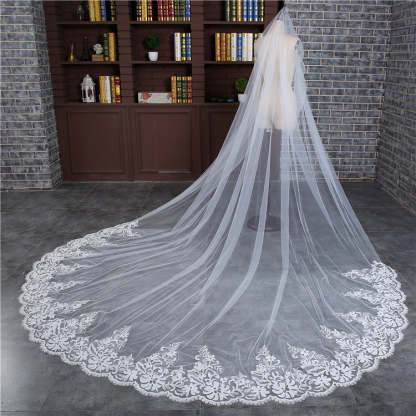 Princess Cute Lace Wedding Veils with Appliques
