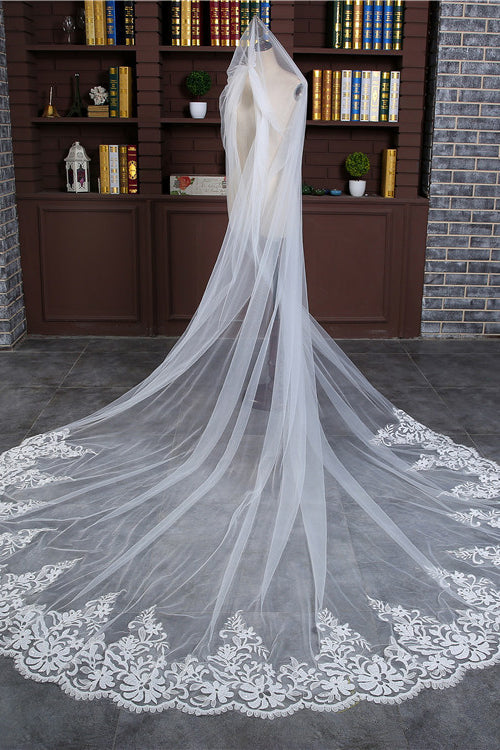 Princess Cute Lace Wedding Veils with Appliques
