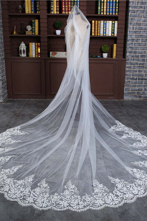 Princess Cute Lace Wedding Veils with Appliques