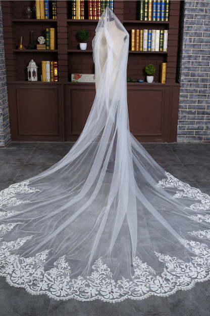 Princess Cute Lace Wedding Veils with Appliques