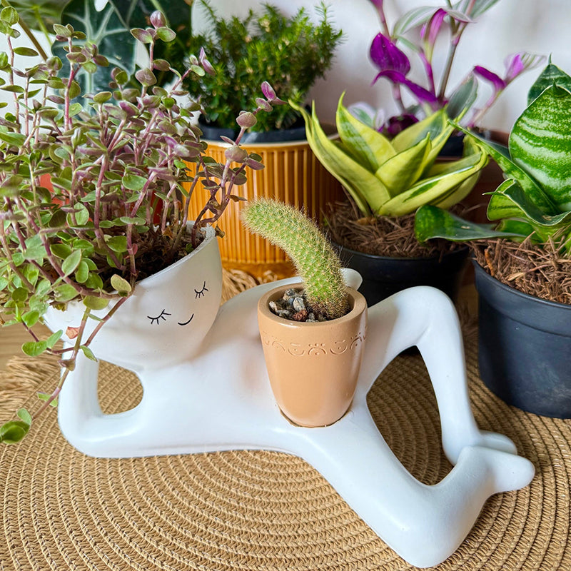🔥LAST DAY 50% OFF - 😂Low-maintenance figurine planter